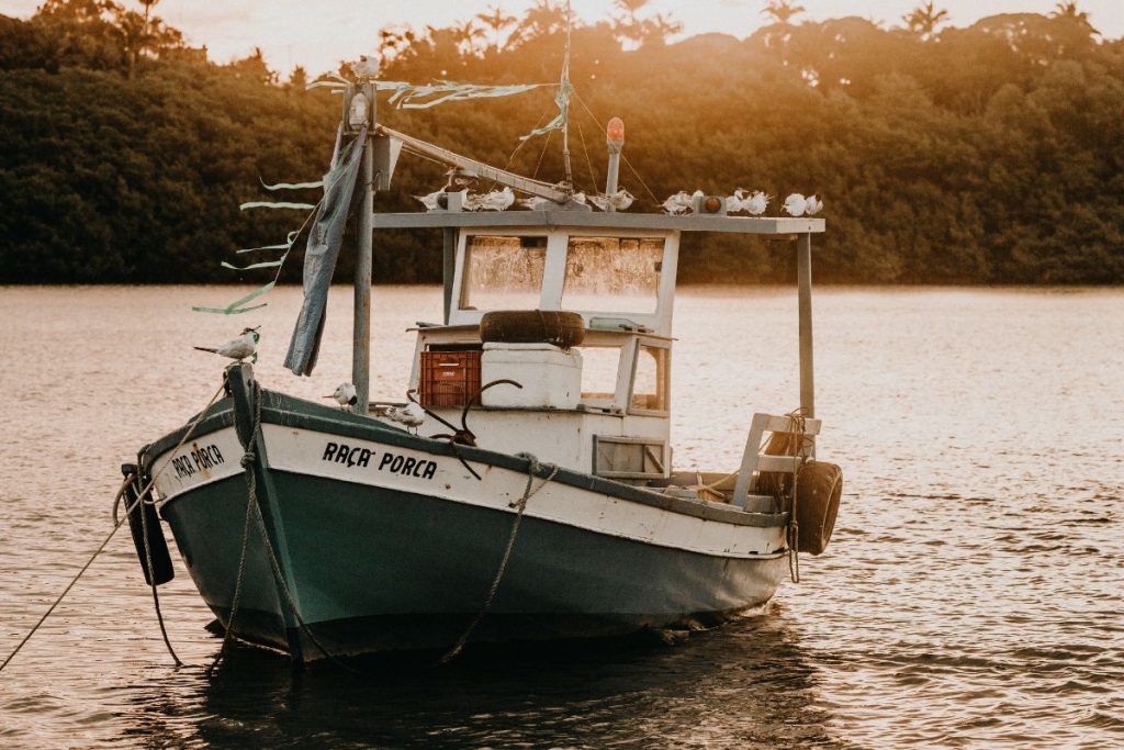 A boat in the ocean/river