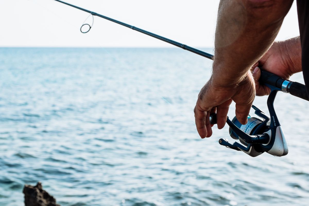 saltwater fishing in the ocean